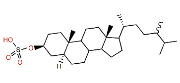 (24xi)-24-Methyl-5a-cholestane-3b-ol sulfate